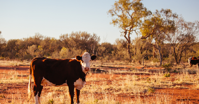 Web header hobby farm