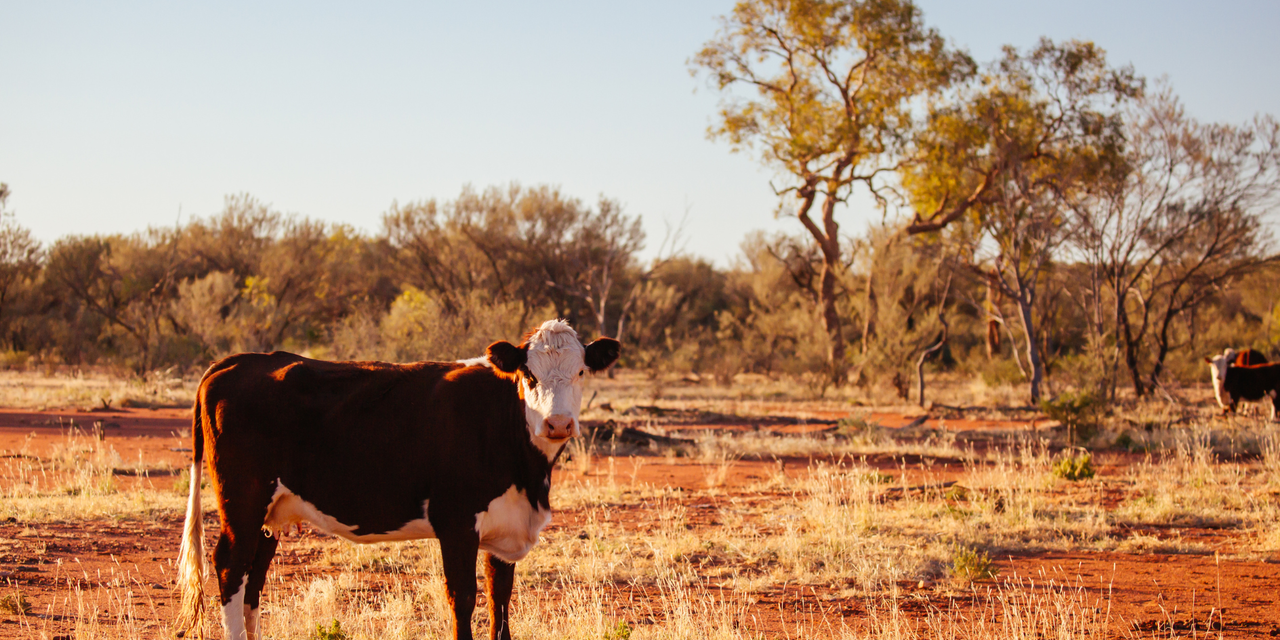 Web header hobby farm