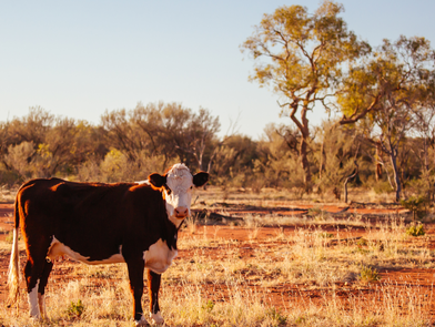 Web header hobby farm