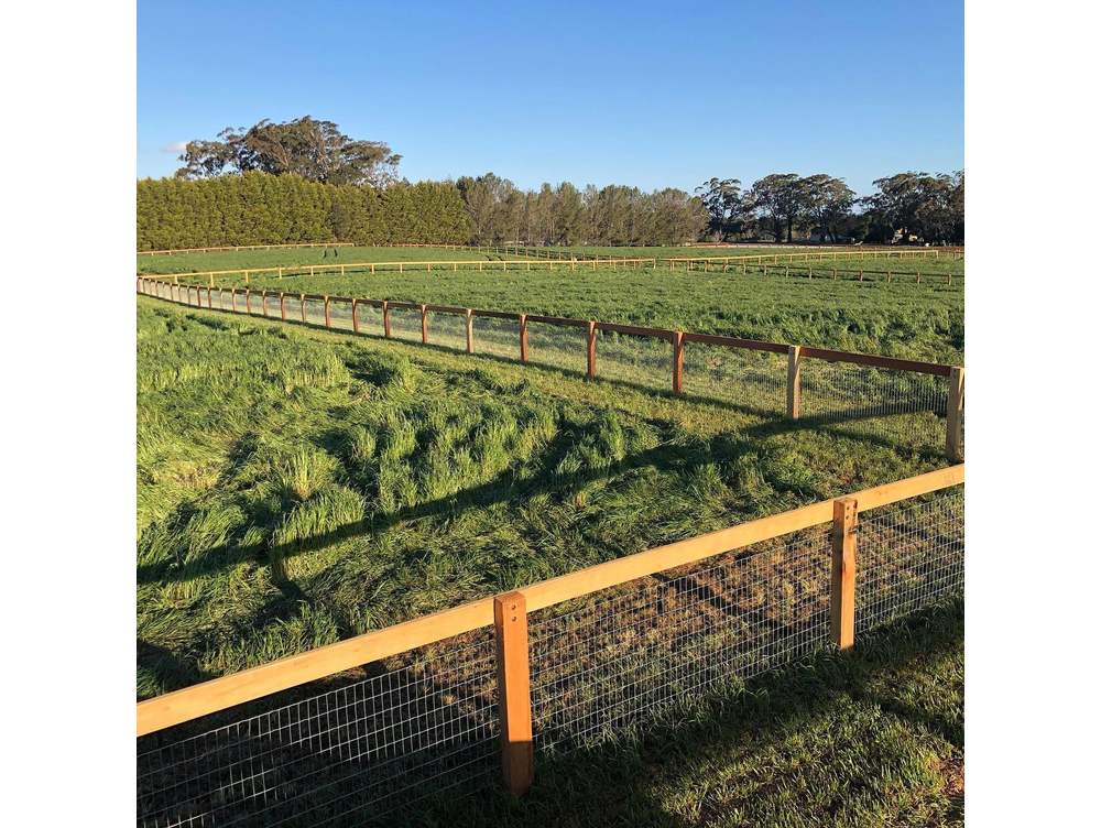 Southern Wire Horse Fence Thenford 3 NSW