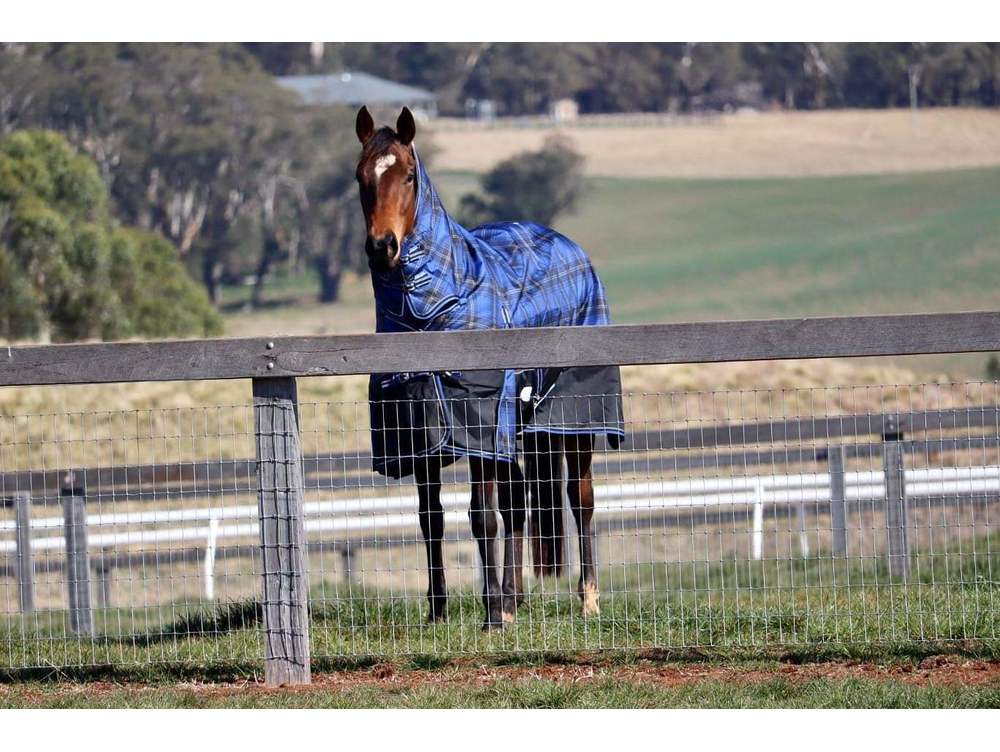 Southern Wire Horse Fence Thenford 7 NSW