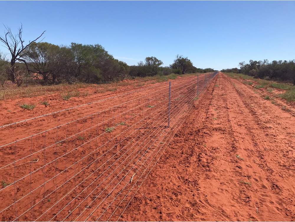 CRBF Fence Line