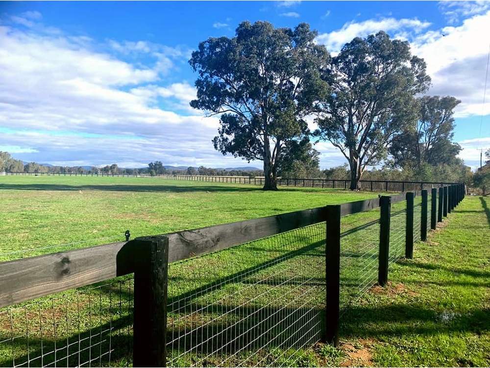 Southern Wire Horse Fence Laceby Lodge 2