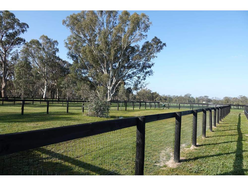 Southern Wire Horse Fence Laceby Lodge 5