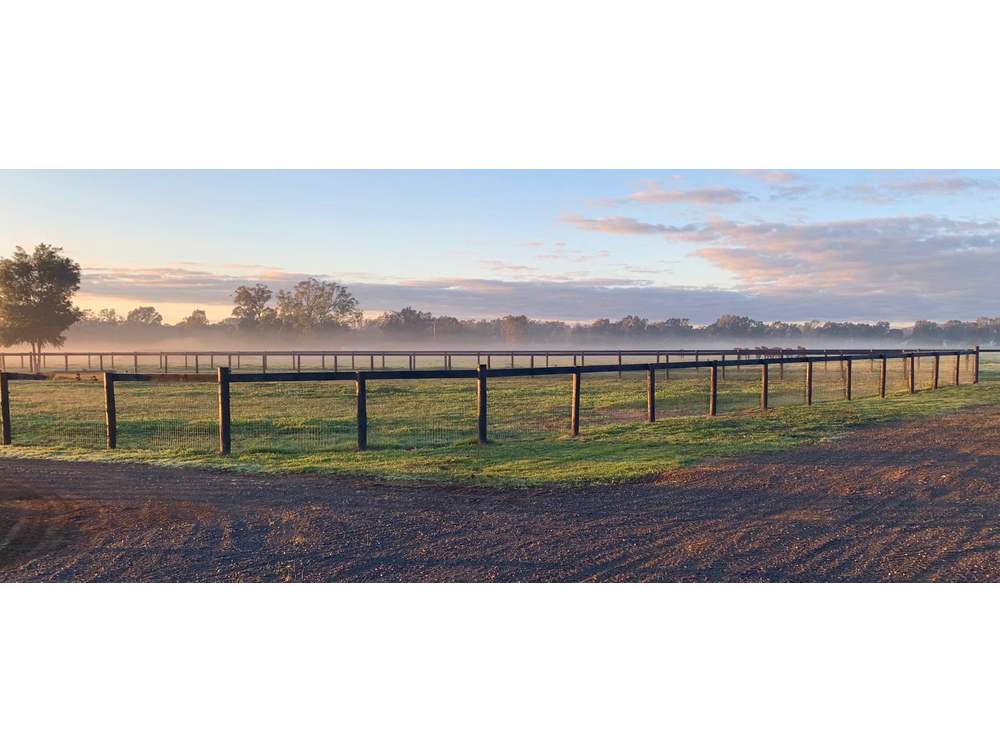 Southern Wire Horse Fence Laceby Lodge 6