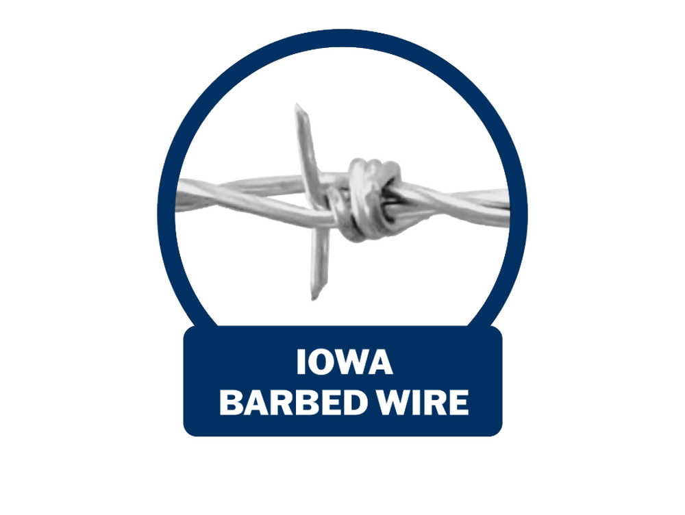 Iowa Barb