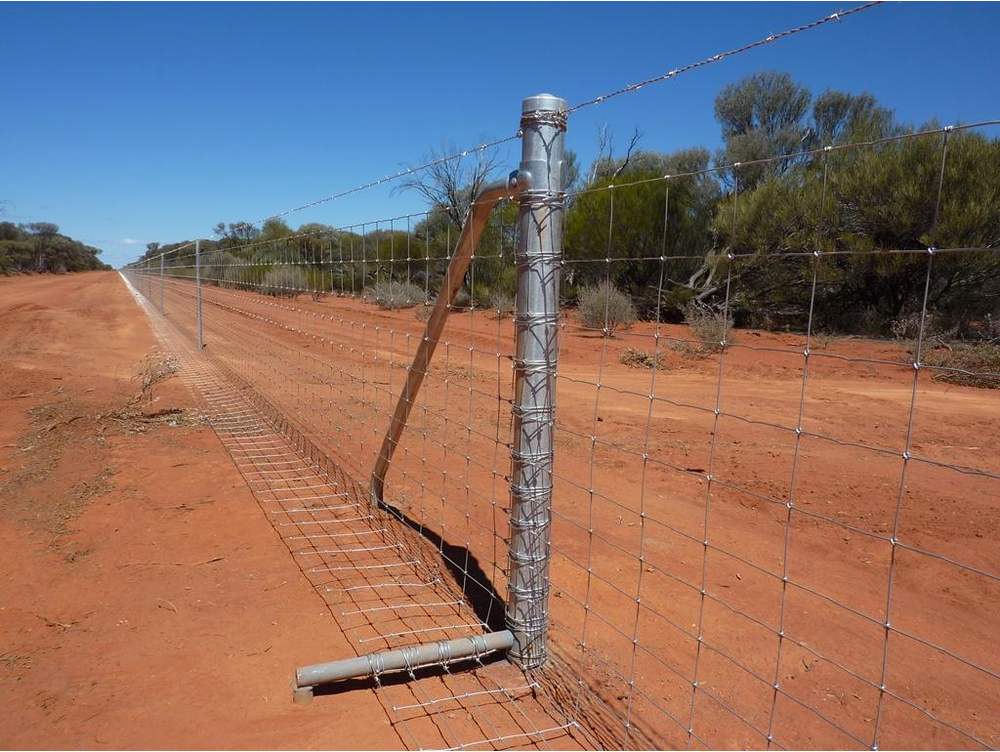 Feral Animal Exclusion Fencing Southern Wire