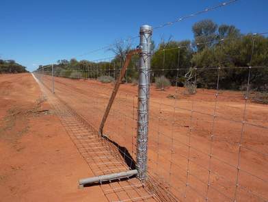 MRVC Wild Dog Fence