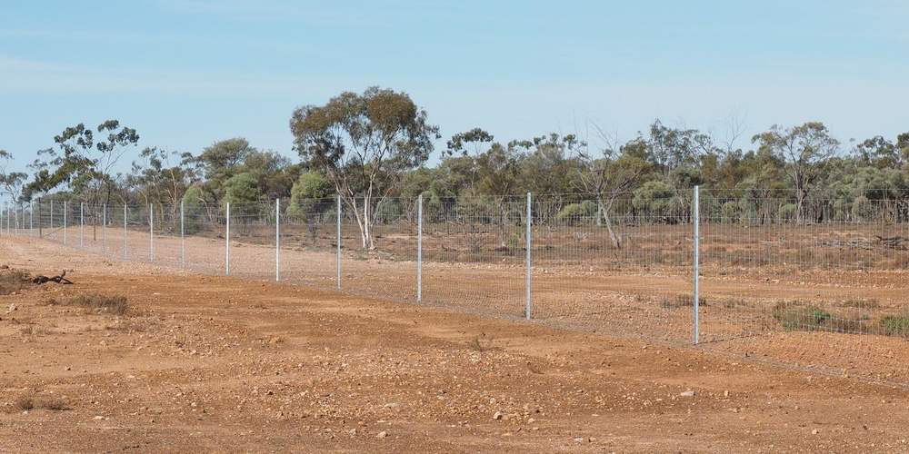 Long Fence Image