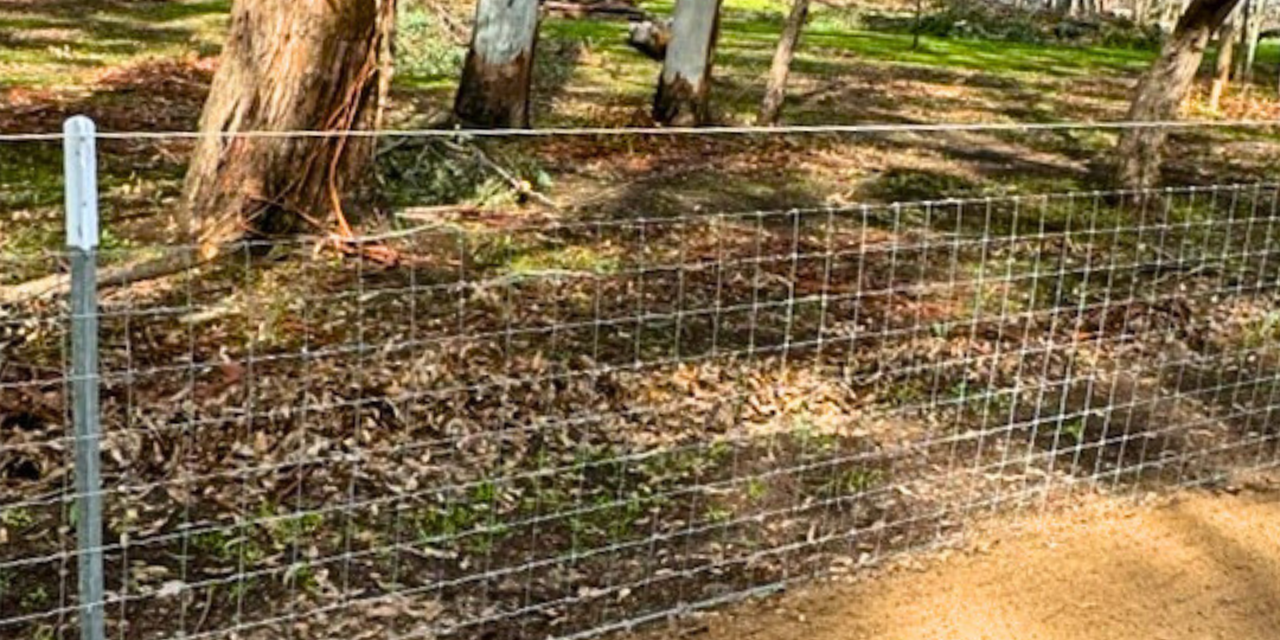 Yard Fence