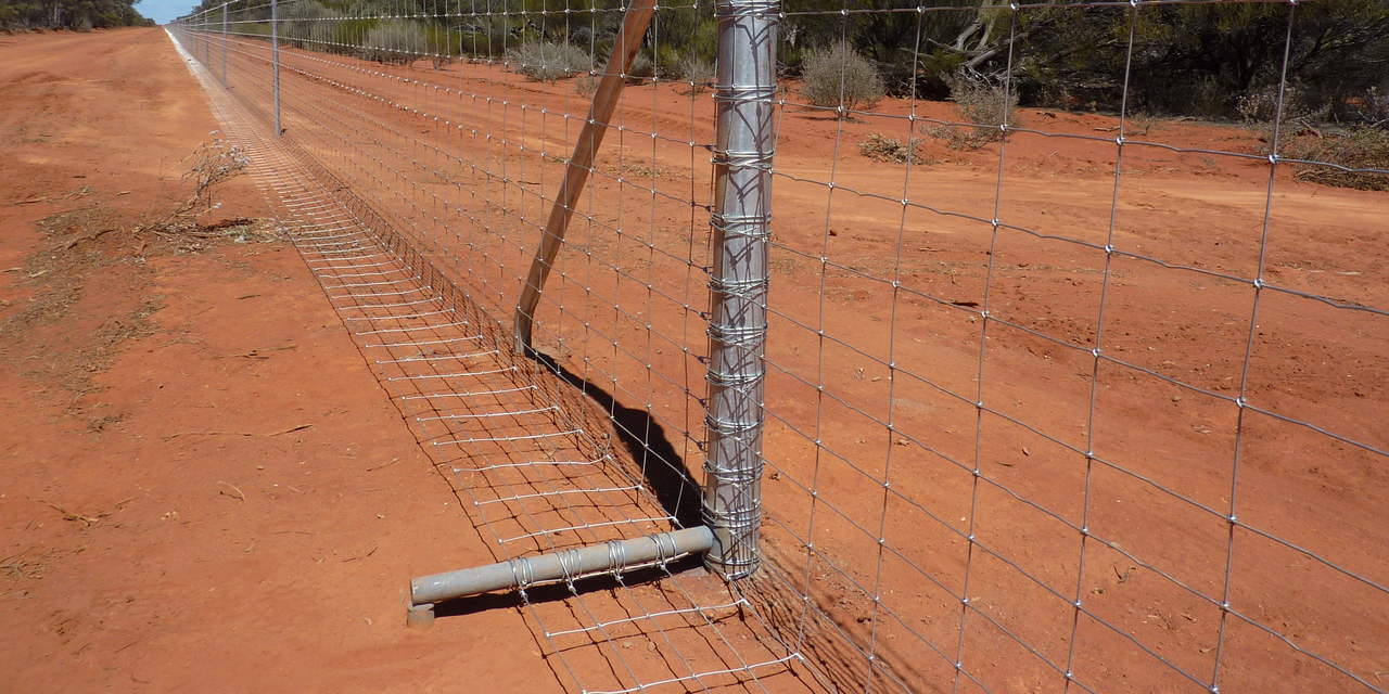 WA Dog Fence