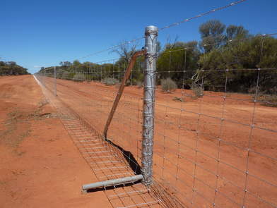 WA Dog Fence