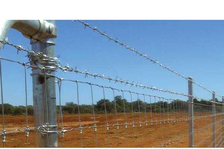 Barbed Wire Fence