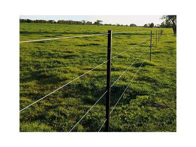 Plainwire P50 Fence