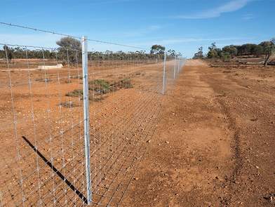 Griplock Vermin Fence1