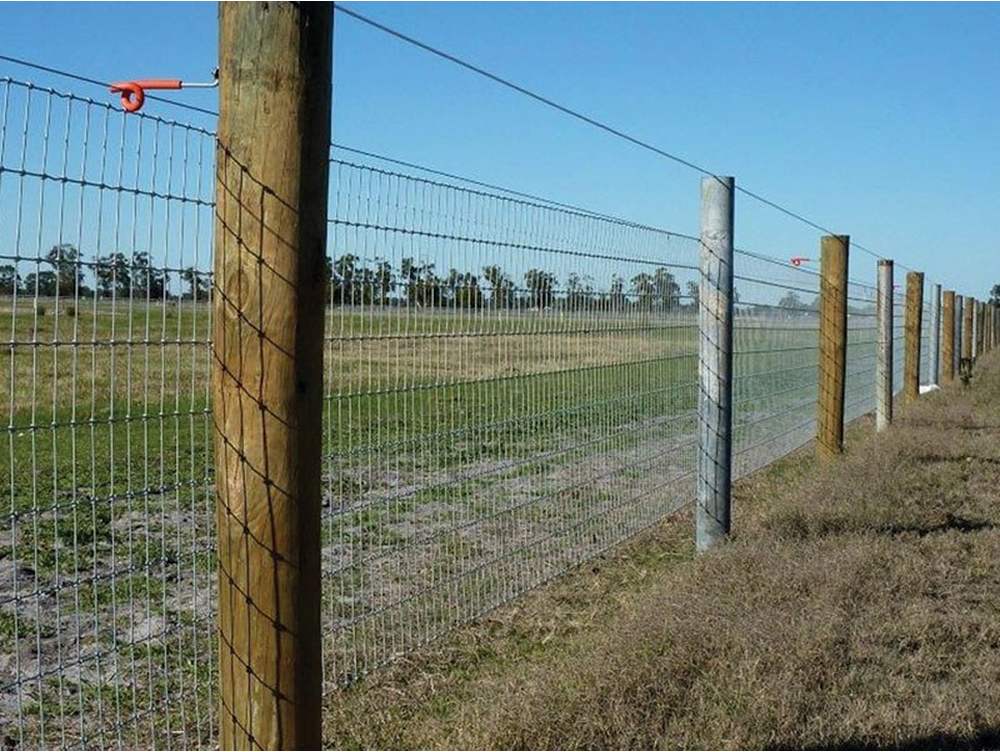 Horse Fence Fence1