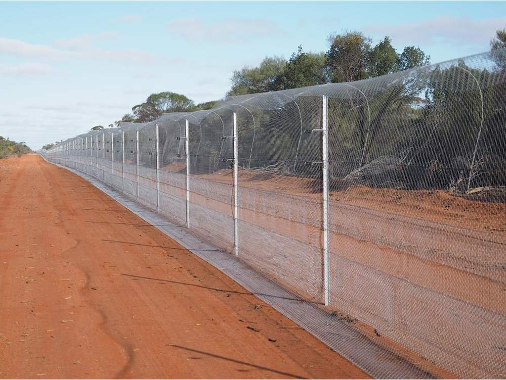 Mt Gipson Cat Exclusion Fence