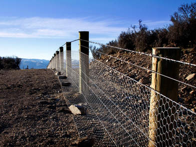 Rabbit Netting Fence