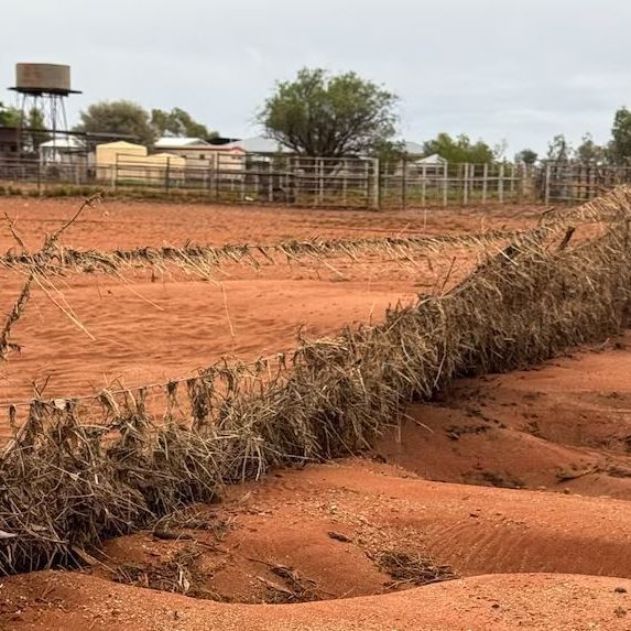 Queensland fence damage